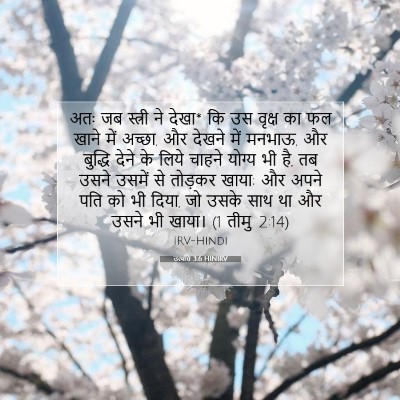उत्पत्ति 3:6 HINIRV बाइबल आयत इमेज