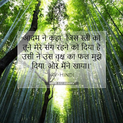 उत्पत्ति 3:12 HINIRV बाइबल आयत इमेज