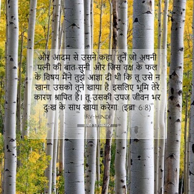 उत्पत्ति 3:17 HINIRV बाइबल आयत इमेज