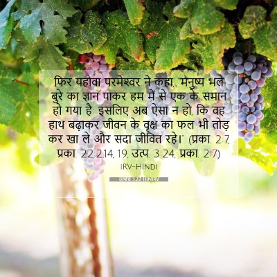 उत्पत्ति 3:22 HINIRV बाइबल आयत इमेज