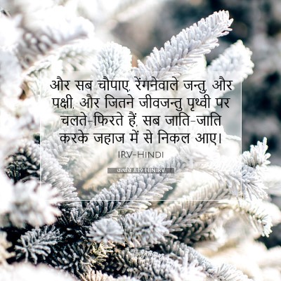 उत्पत्ति 8:19 बाइबल आयत की व्याख्या