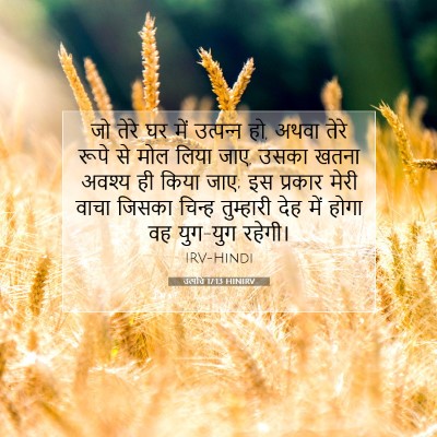 उत्पत्ति 17:13 HINIRV बाइबल आयत इमेज