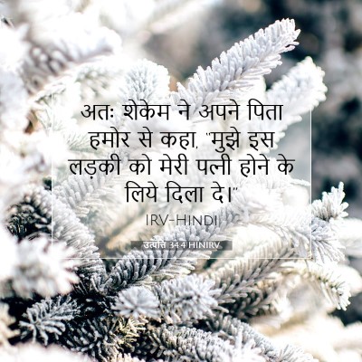उत्पत्ति 34:4 HINIRV बाइबल आयत इमेज