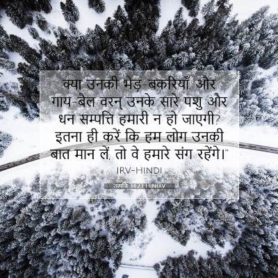 उत्पत्ति 34:23 HINIRV बाइबल आयत इमेज