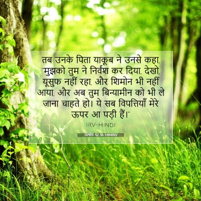 उत्पत्ति 42:36 HINIRV बाइबल आयत इमेज