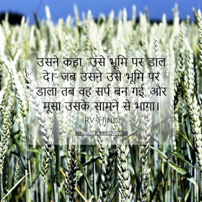 निर्गमन 4:3 बाइबल आयत की व्याख्या