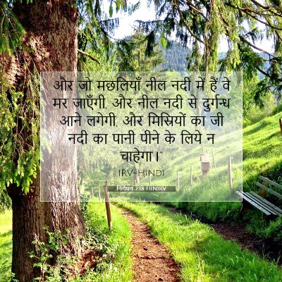 निर्गमन 7:18 बाइबल आयत की व्याख्या