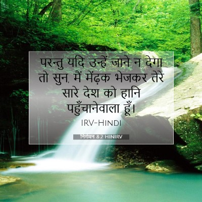 निर्गमन 8:2 बाइबल आयत की व्याख्या