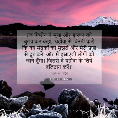 निर्गमन 8:8 बाइबल आयत की व्याख्या