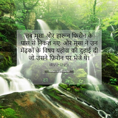 निर्गमन 8:12 बाइबल आयत की व्याख्या