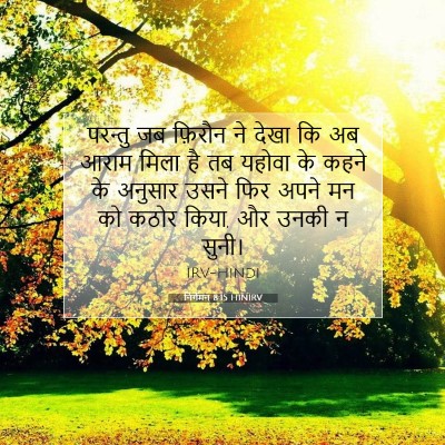 निर्गमन 8:15 बाइबल आयत की व्याख्या