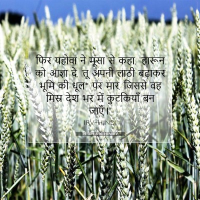 निर्गमन 8:16 बाइबल आयत की व्याख्या