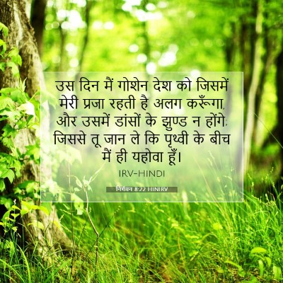 निर्गमन 8:22 बाइबल आयत की व्याख्या