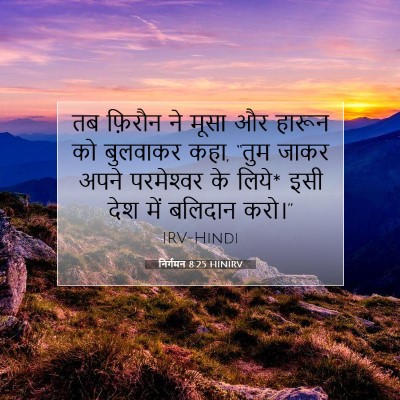 निर्गमन 8:25 बाइबल आयत की व्याख्या
