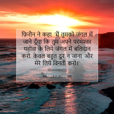 निर्गमन 8:28 बाइबल आयत की व्याख्या