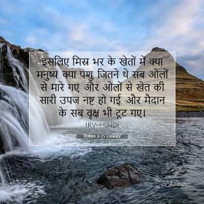 निर्गमन 9:25 बाइबल आयत की व्याख्या