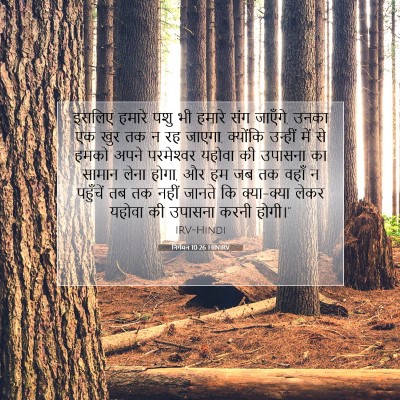 निर्गमन 10:26 बाइबल आयत की व्याख्या