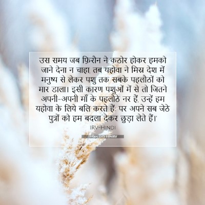 निर्गमन 13:15 बाइबल आयत की व्याख्या