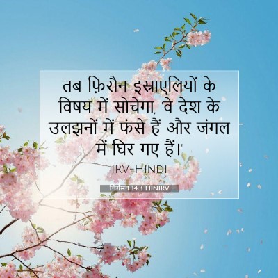 निर्गमन 14:3 बाइबल आयत की व्याख्या