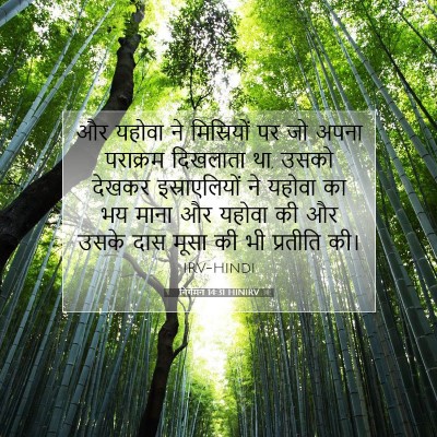 निर्गमन 14:31 बाइबल आयत की व्याख्या