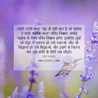 निर्गमन 16:23 बाइबल आयत की व्याख्या