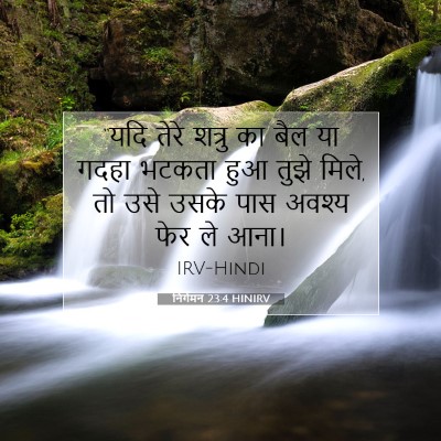 निर्गमन 23:4 बाइबल आयत की व्याख्या