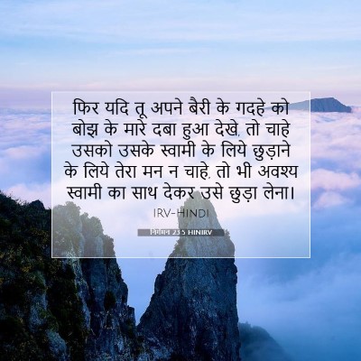 निर्गमन 23:5 बाइबल आयत की व्याख्या