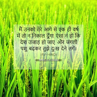 निर्गमन 23:29 बाइबल आयत की व्याख्या