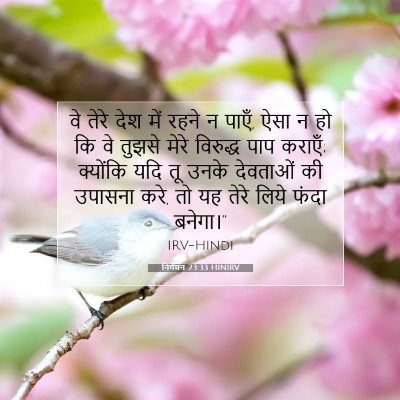 निर्गमन 23:33 बाइबल आयत की व्याख्या