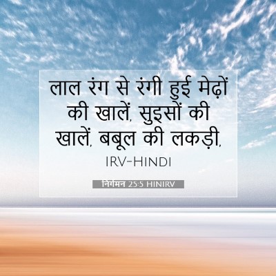 निर्गमन 25:5 बाइबल आयत की व्याख्या
