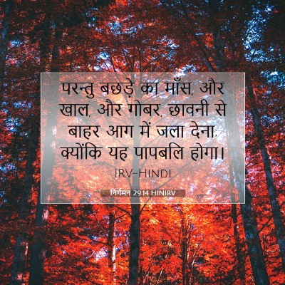 निर्गमन 29:14 बाइबल आयत की व्याख्या