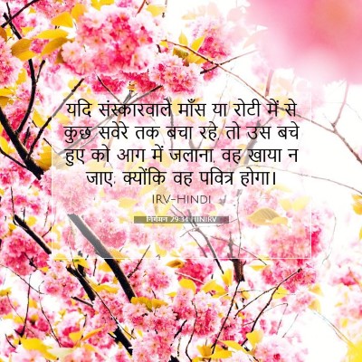 निर्गमन 29:34 बाइबल आयत की व्याख्या
