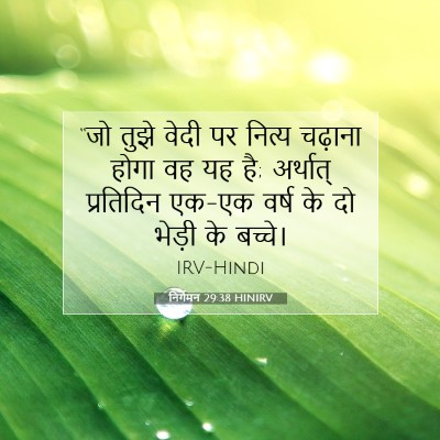 निर्गमन 29:38 बाइबल आयत की व्याख्या