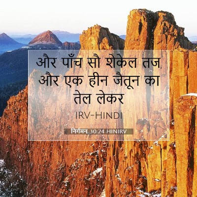 निर्गमन 30:24 बाइबल आयत की व्याख्या