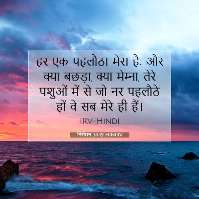 निर्गमन 34:19 बाइबल आयत की व्याख्या