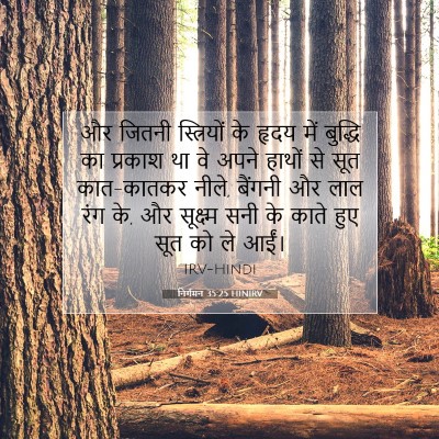निर्गमन 35:25 बाइबल आयत की व्याख्या