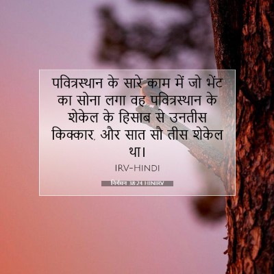 निर्गमन 38:24 बाइबल आयत की व्याख्या