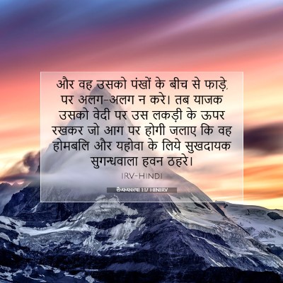 लैव्यव्यवस्था 1:17 बाइबल आयत की व्याख्या