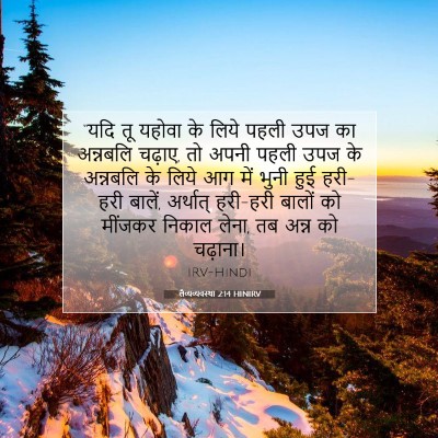 लैव्यव्यवस्था 2:14 बाइबल आयत की व्याख्या