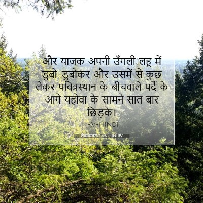 लैव्यव्यवस्था 4:6 बाइबल आयत की व्याख्या