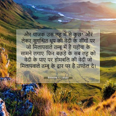 लैव्यव्यवस्था 4:7 HINIRV बाइबल आयत इमेज