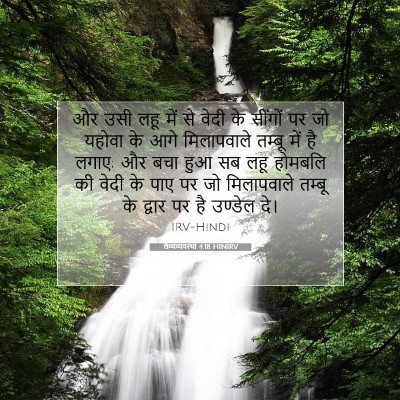 लैव्यव्यवस्था 4:18 HINIRV बाइबल आयत इमेज
