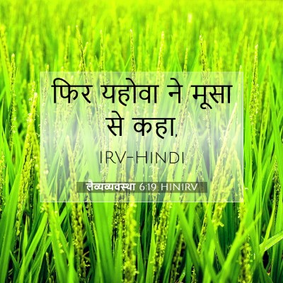 लैव्यव्यवस्था 6:19 बाइबल आयत की व्याख्या