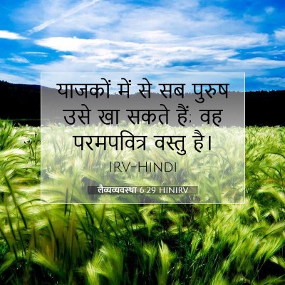लैव्यव्यवस्था 6:29 बाइबल आयत की व्याख्या