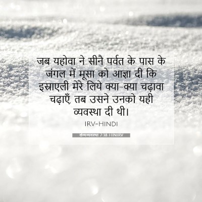 लैव्यव्यवस्था 7:38 बाइबल आयत की व्याख्या