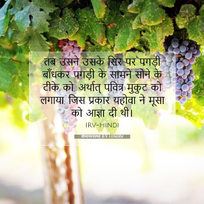 लैव्यव्यवस्था 8:9 बाइबल आयत की व्याख्या