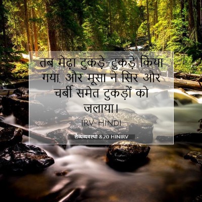 लैव्यव्यवस्था 8:20 बाइबल आयत की व्याख्या