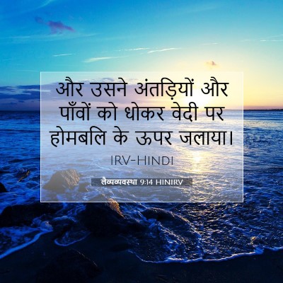 लैव्यव्यवस्था 9:14 बाइबल आयत की व्याख्या