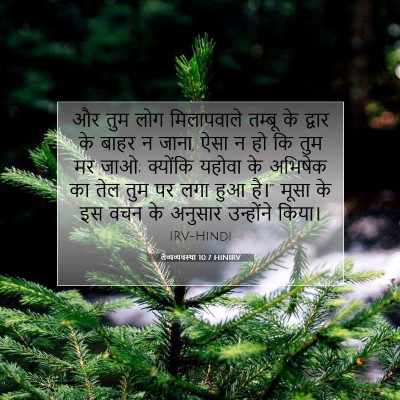 लैव्यव्यवस्था 10:7 बाइबल आयत की व्याख्या
