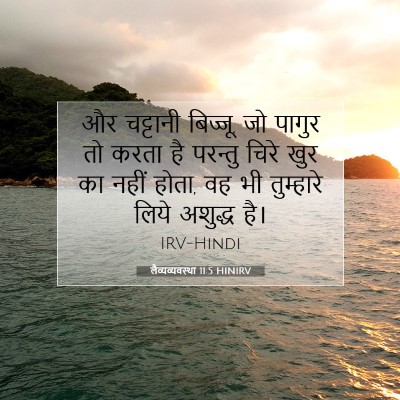 लैव्यव्यवस्था 11:5 बाइबल आयत की व्याख्या